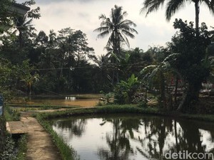 Asal-usul Nama Cisaat yang Airnya Dulu Melimpah Kini Alami Kekeringan