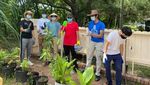 Komunitas Muslim di Masjid Istiqlal Houston Adakan Bukber Hingga Berkebun