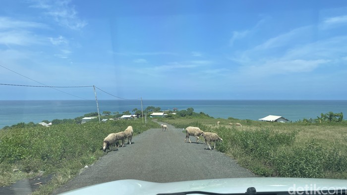 Pantai Puncak Guha Bungbulang, Garut Inilah Pantai Puncak Guha Bungbulang, Garut. Di sini, Anda dibawa ke Bali dan merasakan dua destinasi terbaiknya sekaligus, tebing Uluwatu dan Broken Beach atau Pasih Uug di Nusa Penida.
