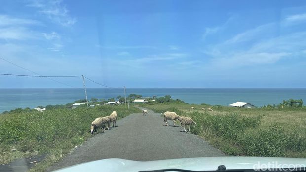 Inilah Pantai Puncak Guha Bungbulang, Garut. Di sini, Anda dibawa ke Bali dan merasakan dua destinasi terbaiknya sekaligus, tebing Uluwatu dan Broken Beach atau Pasih Uug di Nusa Penida.