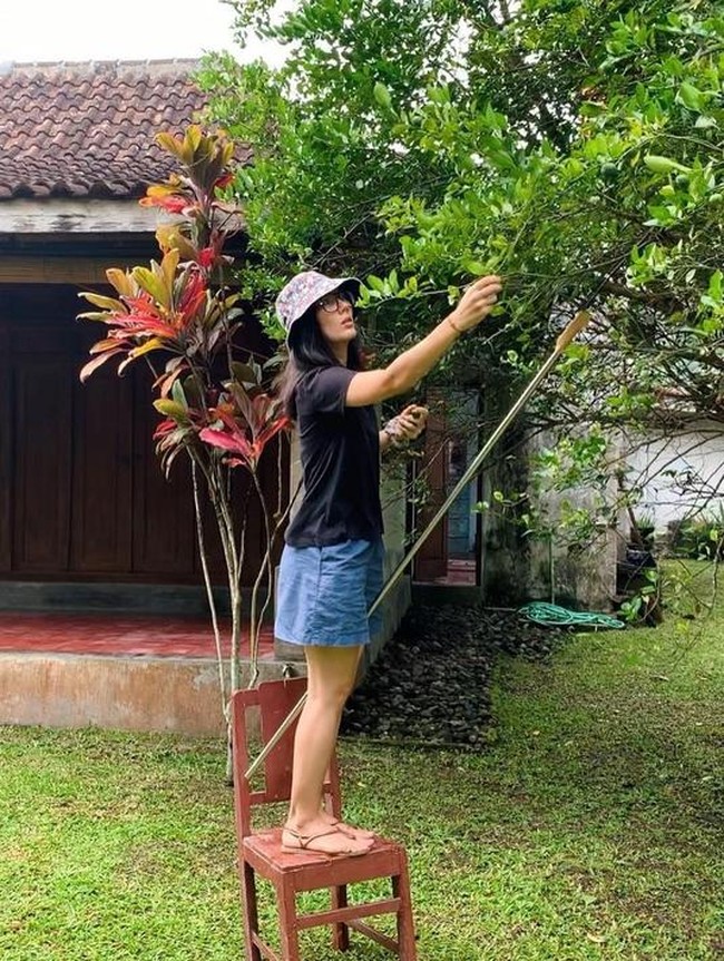 Tipikal rumah di pedesaan, bangunannya didominasi kayu dan genteng yang kusam. Halamannya juga asri dengan pepohonan yang bisa langsung diambil buahnya. (Foto: Instagram/@erosscandra)