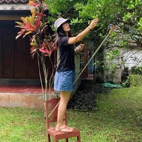 Tipikal rumah di pedesaan, bangunannya didominasi kayu dan genteng yang kusam. Halamannya juga asri dengan pepohonan yang bisa langsung diambil buahnya. (Foto: Instagram/@erosscandra)