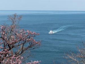 Kapal Tour Berisi 24 Wisatawan di Jepang Hilang dan Belum Ditemukan