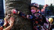 Pohon di Meksiko Bakal Ditebang Karena Wabah, Begini Reaksi Warga