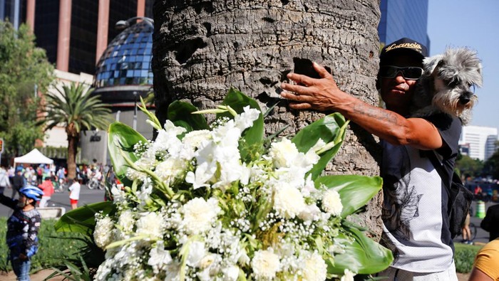 People hug a palm tree known as La Palma, located in the iconic Reforma avenue, during a goodbye ceremony in Mexico City, Mexico April 24, 2022. The palm tree will be chopped later today due to a fungus plague affecting thousands of palm trees. REUTERS/Gustavo Graf