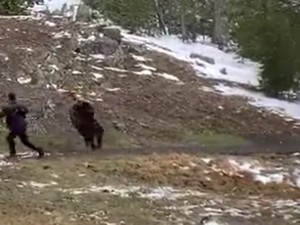 Hampir Mati Demi Konten, Pria Ini Rela-relain Dikejar Bison