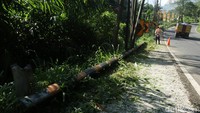 Selain memilki kontur jalan yang berkelok, menanjak dan menurun, terdapat pagar pembatas jalan yang mengalami kerusakan dan hilang.