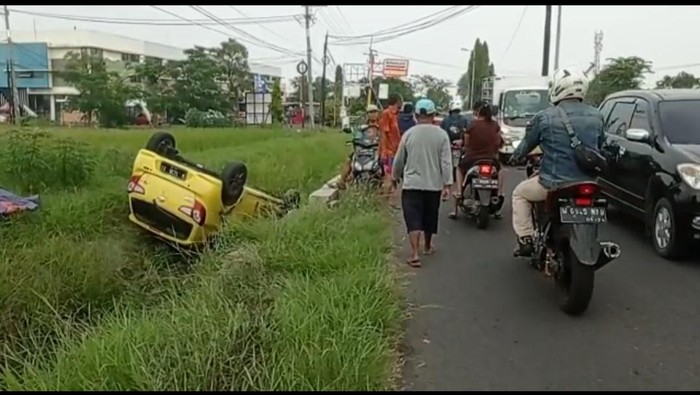 ayla nyungsep ke sawah