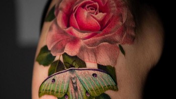 Bunga dan kupu-kupu. Foto: Brightside