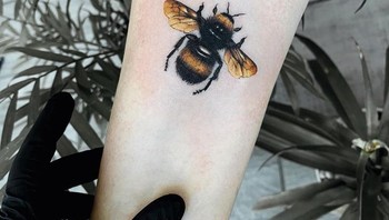 Lebah. Foto: Brightside