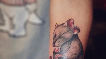 Tikus. Foto: Brightside
