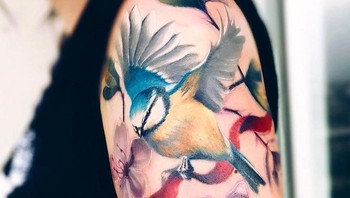 Burung kenari. Foto: Brightside