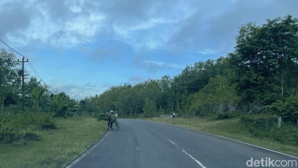 Secara garis besar, semua permukaan jalan Jalur Pansela dari Pangandaran-Gunungkidul terbilang sangat bagus. Secara garis besar, semua permukaan jalan Jalur Pansela dari Pangandaran-Gunungkidul terbilang sangat bagus.