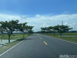 Menteri PUPR Ajak Pemudik Lewat Jalur Pansela yang Instagramable