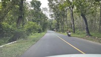 Memang ada persawahan hijau berlatar bukit namun itu tidak sepaket dengan aliran sungainya. Pantai-pantai di Jawa Tengah juga agak jauh dari Jalur Pansela.