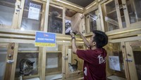 Jasa penitipan hewan mengalami peningkatan menjelang libur lebaran hingga 80 persen.
