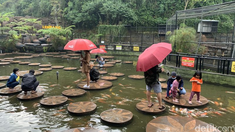 Lembang Park & Zoo di Bandung Barat.