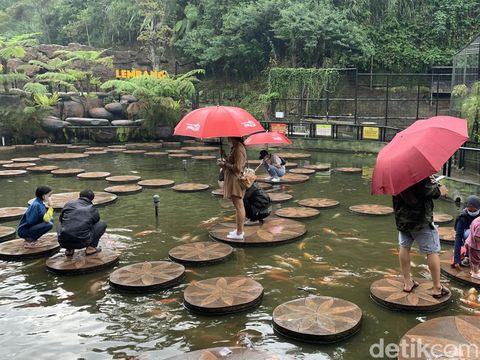 Lembang Park & Zoo di Bandung Barat.