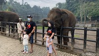 Liburan di Lembang Park and Zoo: Fasilitas hingga Harga Tiket