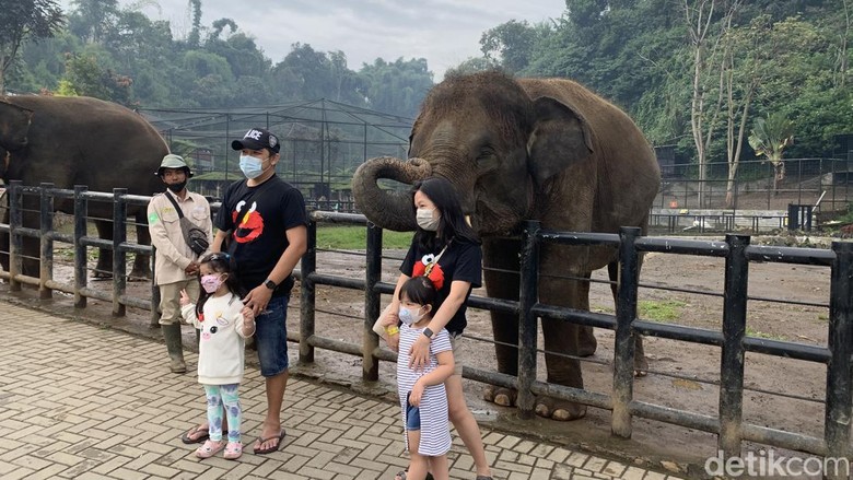 Lembang Park & Zoo di Bandung Barat. Lembang Park & Zoo di Bandung Barat.