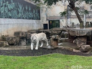 5 Tempat Wisata Anak di Bandung Buat Isi Libur Lebaran