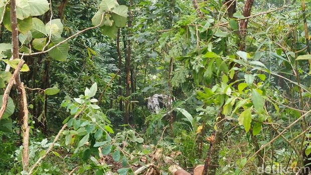 Lokasi kecelakaan mobil pikap di tanjakan Bibis, Kulon Progo, DIY, Selasa (26/4/2022).