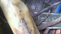 Beli makanan takjil, pastinya membuat rasa ingin berbuka puasa semakin menggebu-gebu. Lontong isi cicak yang satu ini sepertinya akan berhasil membuat malas berbuka. Foto: Twitter/jowoshitpost