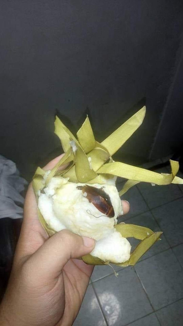 10 Momen Apes Netizen Saat Makan, Dapat 'Hadiah' Kecoak hingga Cicak