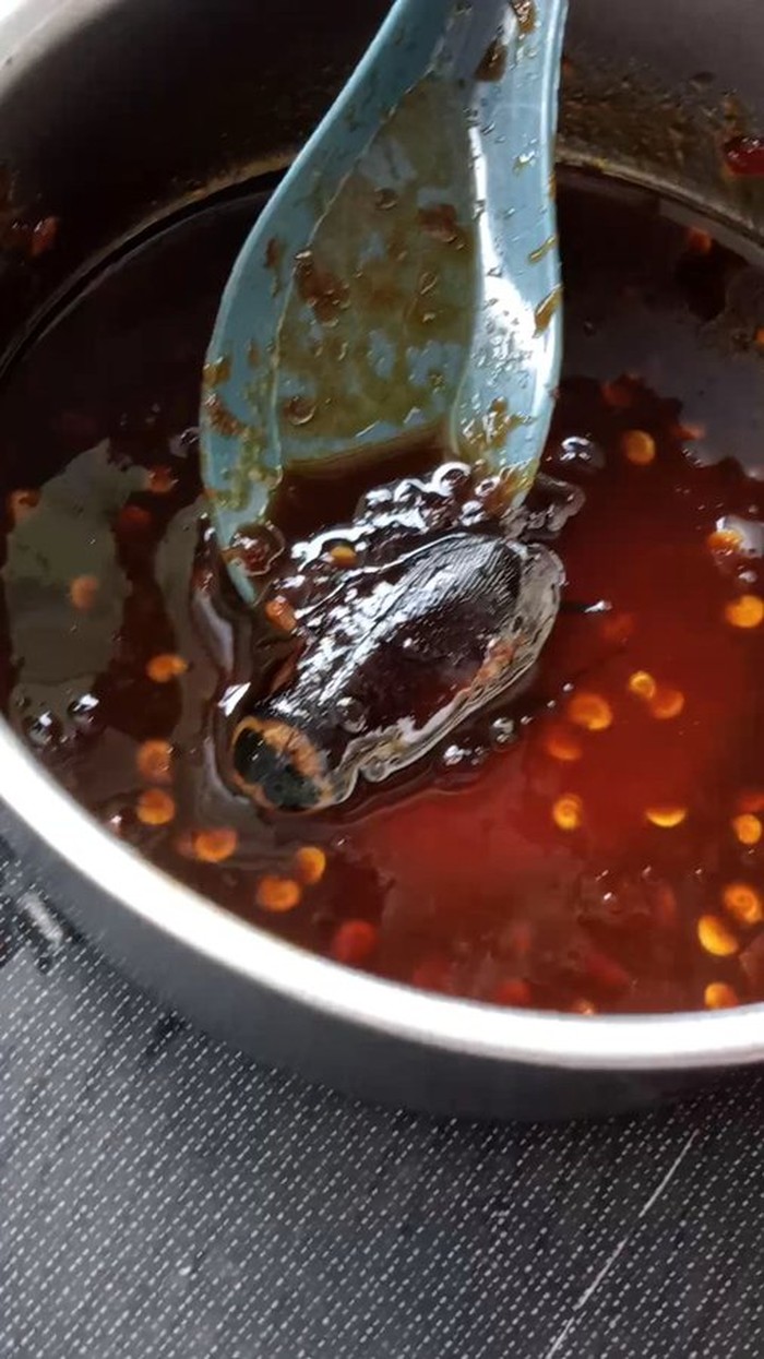 Makanan apes menjijikan 10 Momen Apes Netizen Saat Makan, Dapat 'Hadiah' Kecoak hingga Cicak