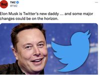 Karyawan Twitter 'Insecure' Jadi Anak Buah Elon Musk, Takut Ada PHK!