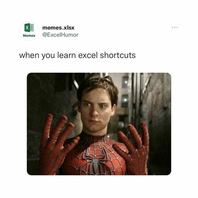 Meme Excel