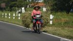 Menjajal Jalur Pansela yang Siap Dilalui Pemudik