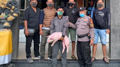 Gede Agus S alias Gobler (38) pelaku pencurian anak babi usai diamankan polisi.