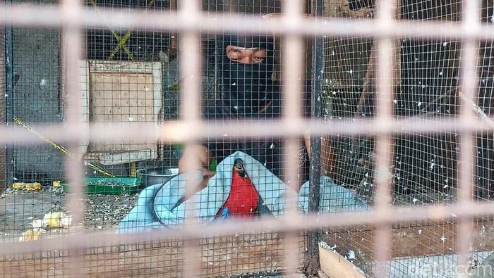 Polresta Bandung mengamankan pria dengan inisial ES setelah diketahui melakukan jual beli burung yang dilindungi di Baleendah. Selain itu, sebanyak 40 burung juga disita dari pelaku.