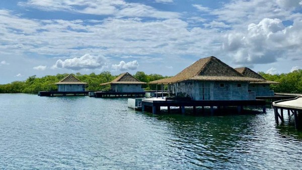 16 vila yang berada di atas air dibuat di Bali kemudian dikirim ke Panama. Beberapa dilengkapi kolam renang pribadi hingga lantai kaca yang bisa membuat wisatawan melihat kehidupan bawah laut. (Bocas Bali)