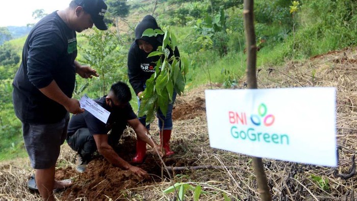 Yuk Tanah Pohon untuk Selamatkan Bumi Dalam rangka memperingati Hari Bumi, BNI terus melakukan penanaman pohon. Salah satunya di Hutan Organik Megamendung.