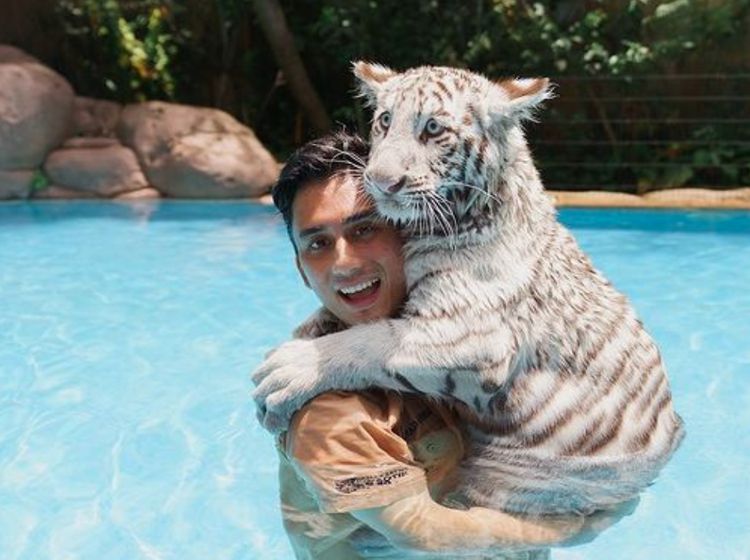 Lagi Jadi Sorotan, Potret Alshad Ahmad bersama Harimau Peliharaannya