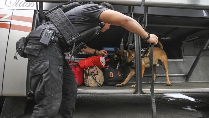 Anjing Pelacak Periksa Barang Bawaan Pemudik Petugas mengerahkan anjing pelacak K9 BNN saat memeriksa barang bawaan penumpang di Terminal Kampung Rambutan, Jakarta, Rabu (27/4/2022). Pemeriksaan dengan anjing pelacak K9 BNN tersebut dilakukan guna mengantisipasi peredaran narkotika di tengah arus mudik menyambut Hari Raya Idul Fitri 1443 H. ANTARA FOTO/Asprilla Dwi Adha/rwa.