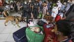 Anjing Pelacak Sisir Barang Bawaan Pemudik di Terminal Ini