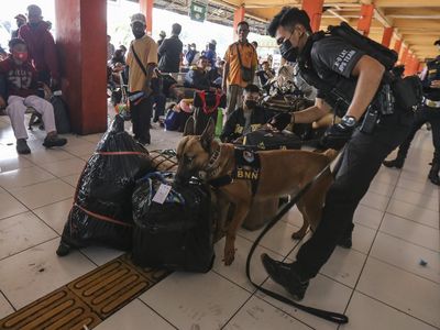 Anjing Pelacak Sisir Barang Bawaan Pemudik di Terminal Ini