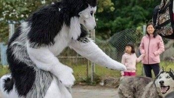 Pertarungan antara si besar dan kecil. Foto: Boredpanda