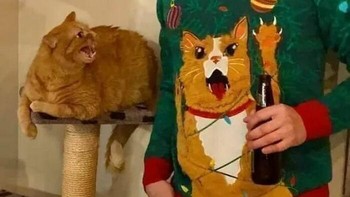 Ekspresi  yang sama si kucing asli dengan gambar di baju. Foto: Boredpanda