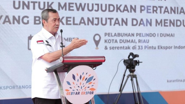 Gubernur Riau Syamsuar