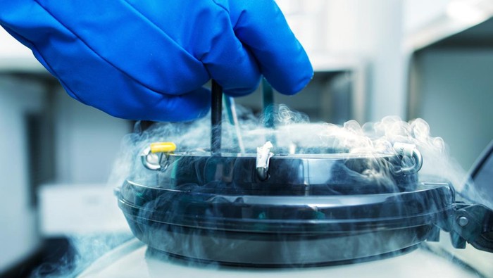 Sejarah Tren Pembekuan Sel Telur hingga Muncul Social Egg Freezing