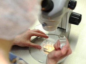 Membekukan Sel Telur di Indonesia, Biayanya Berapa Sih? Ssst, Ini Bocorannya