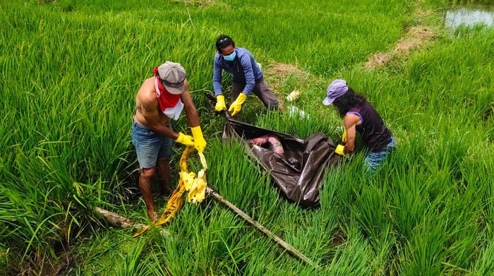 Kakek 76 tahun yang sempat hilang ditemukan tewas di areal sawah di Minahasa.