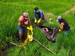 Kakek 76 Tahun di Minahasa Ditemukan Tewas Usai Hilang 5 Hari