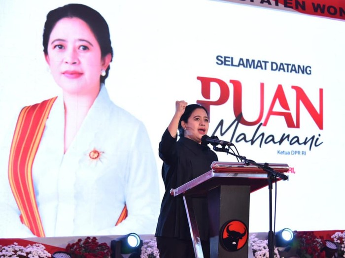 Ketua DPR RI Puan Maharani