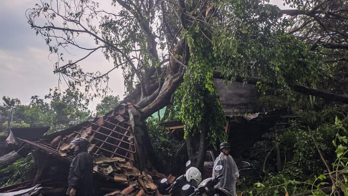 Pohon tumbang dan sejumlah bangunan roboh akibat hujan disertai angin kencang, Rabu (27/4/2022) sore.