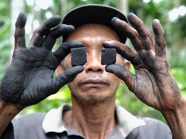 Warga Jambi Sulap Limbah Pelepah Pinang Menjadi Briket